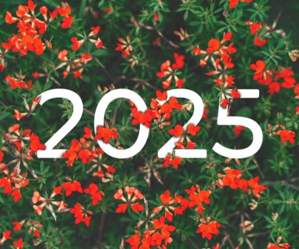 A stylised image of 2025 in flowers