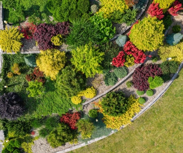 Outdoor living zones: aerial view of landscaped garden borders with layered planting creating structured outdoor living zones