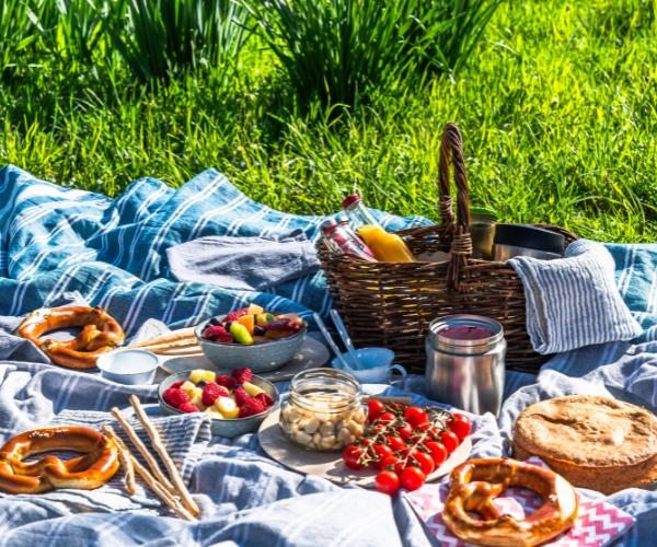 garden entertaining ideas for summer A picnic spread on a blue checked blanket in bright sunshine, with a wicker basket, pretzels, bowls of mixed fruit and raspberries, cherry tomatoes on the vine, a jar of nuts and a round loaf of bread arranged on the rug.